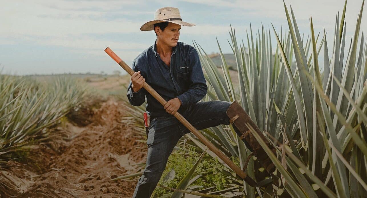 image for Pantalones Reposado Tequila