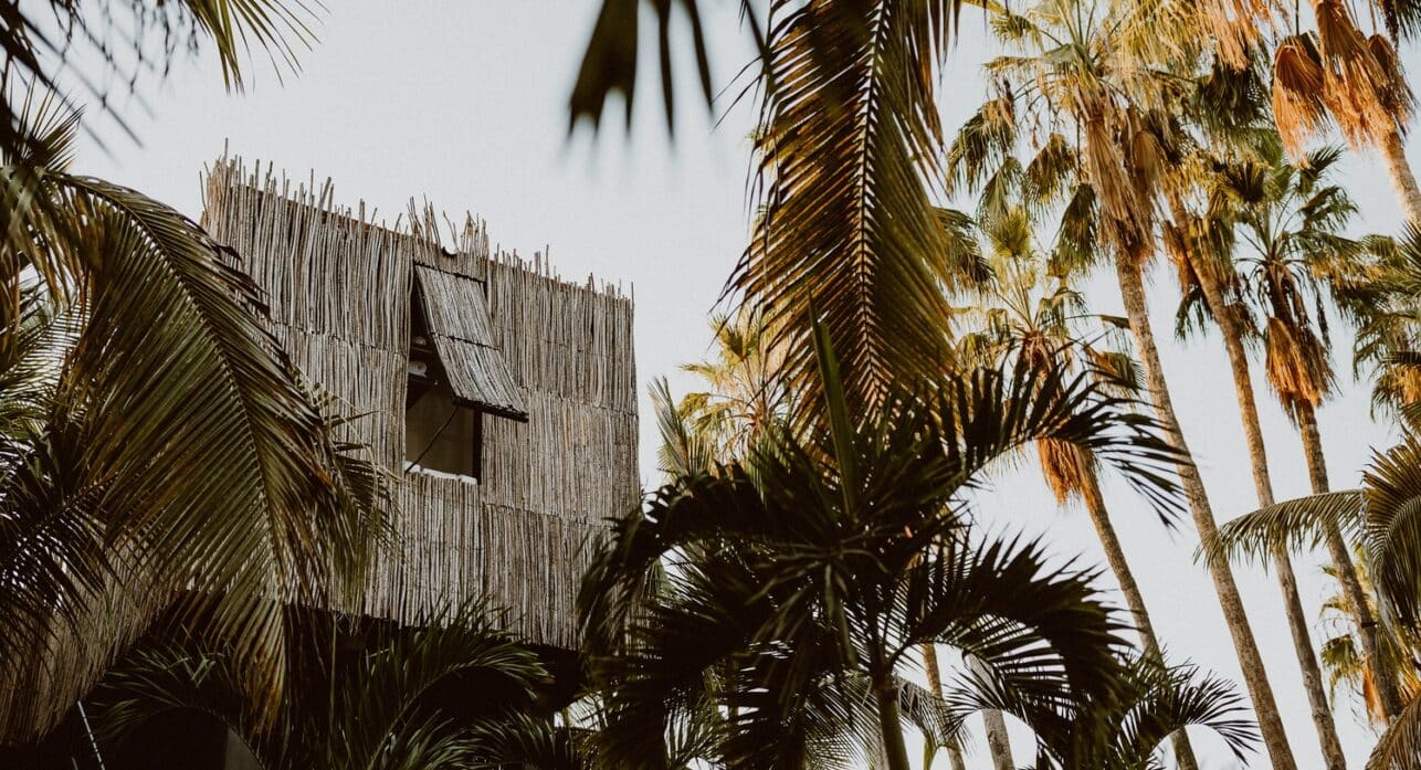 image for Jungle Luxury & Hidden Retreat