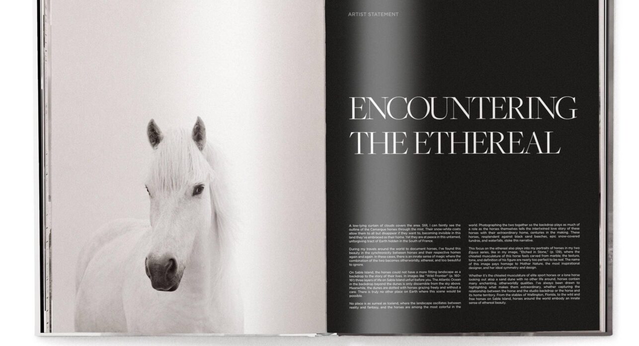 image for A Visual Tribute to Equine Majesty